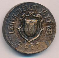 2007. "10 Lóvé / Legyesbénye jó péze (sic!)" kétoldalas, öntött bronz érem/érme (34mm) T:X...
