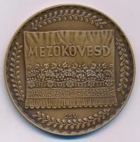 Csucs Viktória (1934-1993) DN "Mezőkövesd" kétoldalas bronz emlékérem (60mm) T:AU