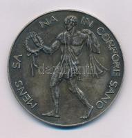 Csehszlovákia ~1930. "Mens sa na in corpore sano / Čsl. Magyar Testnevelő Szövetség" kétoldalas, peremén jelzett, ezüstözött bronz sport emlékérem (60mm) T:AU patina Czechoslovakia ~1930. "Hungarian Gym Association in Czechoslovakia" double-sided silvered bronze sports commemorative medallion, hallmarked on the edge (60mm) C:AU patina