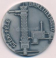 1979. "Dr. Széki János 1879-1979 / Széki-féle brikettlepárló" ezüstpatinázott fém emlékére...