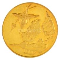 Bognár György (1944-) DN "Magyar Néphadsereg - Honi Légvédelem" kétoldalas aranyozott fém ...