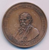 Bozó Gyula (1913-2004) DN "Deák Ferenc a haza bölcse (1803-1876)" kétoldalas bronz emlékérem (42,5mm) T:UNC