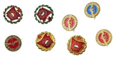 8db-os vegyes szocialista jelvény tétel, közte ~1970-1980. "Szocialista Brigád" műgyantás fém kitüntetés (4db, 2xklf) + "Kiváló Szocialista Brigád" festett fém jelvény (23mm) + "Élenjáró Szocialista Brigád" festett fém jelvény (23mm) + "A MÁV kiváló dolgozója" festett fém jelvény (23mm) T:AU