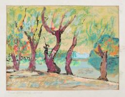 Nyári István (-), 3 db mű: Bükkszék, Tiszai árterület és vázlat. Klf. technikák és hordozók, mindegy...