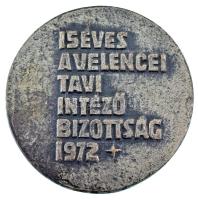 Gáll Gyula (1939-) 1972. "15 éves a Velence Tavi Intéző Bizottság" ezüstözött bronz emléké...