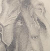 Futaki Attila (1984-2024): 12 db rajz. Tus, ceruza, papír, jelzés nélkül, 42x29,5 cm