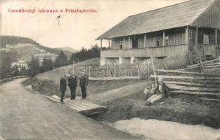 Priszloptető military police department (small tear)