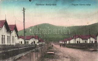 Szolyva Frigyes Károly-telep