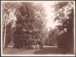 1900 Pesztszentlőrinc, villatelep 5 db nagy méretű fotó giczi, assa- és ablanczkürthi Ghyczy Margit ...