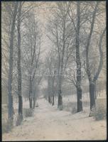 1928 Rézmál (Bp., II.) feliratozott vintage fotó 24x16 cm