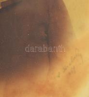 Strelisky Lipót (1816-1905) Férfi portré kitüntetéssel (1867). Jelzett vintage fotóművészeti alkotás...