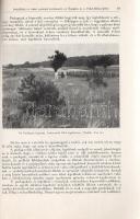 Takács Lajos: 
Irtásföldek és irtási eszközök (irtókések) az Őrségben és a Felső-Rába vidékén.
Bud...