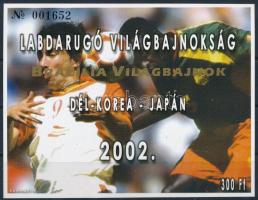 2002/19 Labdarúgó VB - Brazília világbajnok emlékív