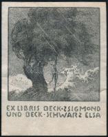 Beck Schwarz Elza (1887?1952?/ 1967): Ex libris Beck Zsigmond und Beck Schwarz Elsa. Klisé, papír, jelzett a klisén. 9,5x8 cm