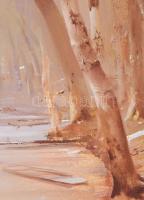 Fejér Csaba (1936-2002): Vízpart. Olaj, farost, jelezve jobbra lent. 60x90 cm