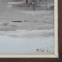 Fejér Csaba (1936-2002): Tanya. Olaj, farost, jelezve jobbra lent. Üvegezett keretben. 45x80 cm