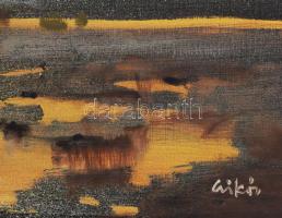 Csikós András (1947-2006): Zsombékos táj. Olaj, farost, jelezve jobbra lent, hátoldalán autográf fel...