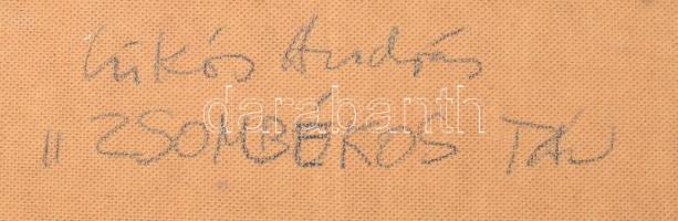 Csikós András (1947-2006): Zsombékos táj. Olaj, farost, jelezve jobbra lent, hátoldalán autográf fel...