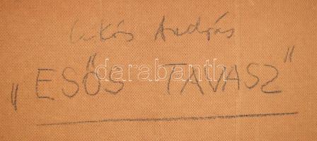 Csikós András (1947-2006): Esős tavasz. Olaj, farost, jelezve jobbra lent, hátoldalán autográf felir...