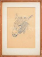 Edvi Illés Aladár (1870-1958): Szamár. Ceruza, papír, jelzett. Dekoratív, kissé sérült üvegezett fak...