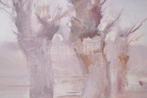 Fejér Csaba (1936-2002): Vízparti táj. Olaj, farost, jelezve balra lent. 30x40 cm