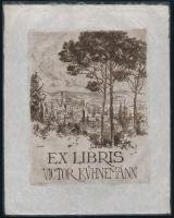 Conrad Gyula (1877-1959): Ex libris Victor Kühnemann. Rézkarc, papír, jelzett a karcon, lap teteje papírra kasírozva, 17×13 cm