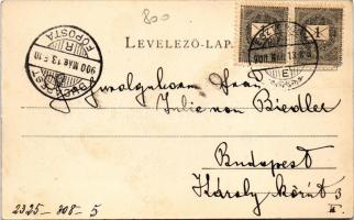 1900 Esztergom, látkép. Esztergomi lapok nyomdája a Hunnia könyvnyomda kiadása (fl)