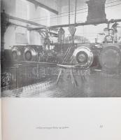 A 100 éves Fővárosi Vízművek. Összeállította: Dr. Nagy Lajos. Szerk.: Jancsár Péter. Bp., 1968, Mező...