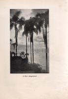 Wild Lajos: 
Tizenöt év Brazíliában.
Arad, 1936. "Vasárnap" Nyomdai Műintézet kiadása
1...