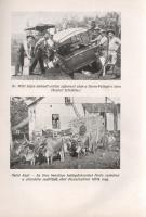 Wild Lajos: 
Tizenöt év Brazíliában.
Arad, 1936. "Vasárnap" Nyomdai Műintézet kiadása
1...