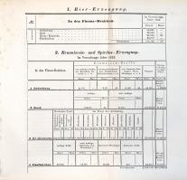 Jahres-Bericht der Handels- und Gewerbekammer in Oedenburg an das hohe k. k. Ministerium für Handel,...