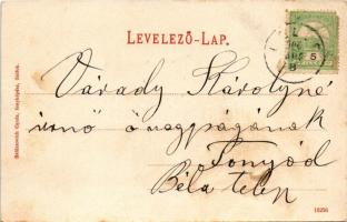 1906 Balatonlelle, Lelle fürdő telep megállóhely, vasútállomás. Wollák József kiadása, Balázsovich G...