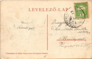 Tőketerebes, Trebisov; Gróf Andrássy kastély és park. Gelb kiadása / castle and park (EB)