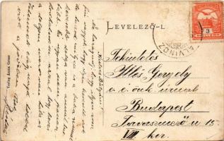 Szászsebes, Mühlbach, Sebesul Sasesc, Sebes; Siculorumgasse / Sikolorum utca, Johann Stegmann üzlete...