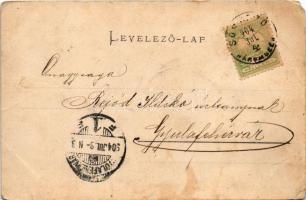 1904 Sósmező, Poiana Sarata; Erzsébet emlék oszlop (Sissi). Bogdán F. fényképész / monument of Empre...