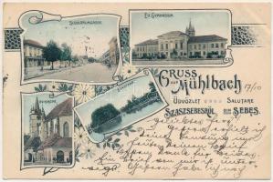 Szászsebes, Mühlbach, Sebes; Siculorumgasse, Ev. Gymnasium und Kirche, Stadtpark / utca, Evangélikus templom és gimnázium, Városliget. J. Hientz kiadása / street, Lutheran church and school, park. Art Nouveau, floral