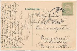 Szászsebes, Mühlbach, Sebes; Siculorumgasse, Ev. Gymnasium und Kirche, Stadtpark / utca, Evangélikus...