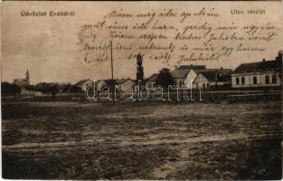 1918 Erdőd, Károlyierdőd, Ardud (Szatmár); utca / street (r)