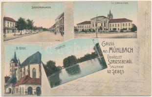 1914 Szászsebes, Mühlbach, Sebes; Siculorumgasse, Ev. Gymnasium und Kirche, Stadtpark / utca, Evangélikus templom és gimnázium, Városliget. J. Hientz kiadása / street, Lutheran church and school, park