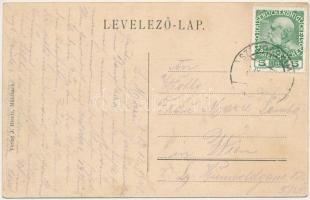 1914 Szászsebes, Mühlbach, Sebes; Siculorumgasse, Ev. Gymnasium und Kirche, Stadtpark / utca, Evangé...