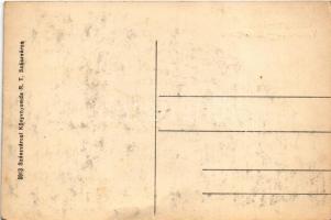 Szászváros, Broos, Orastie; Strada Reg. Ferdinand / Vásár utca / Marktgasse / street view (fl)