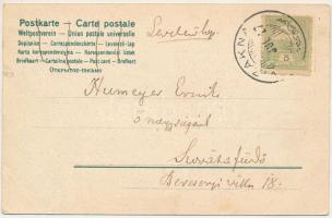 Vízakna, Salzburg, Ocna Sibiului; sós-gyógyfürdő. Takáts Jenő kiadása, szecessziós keret / spa. Art ...