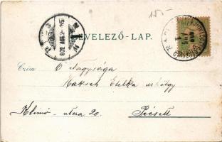 1902 Székelyudvarhely, Odorheiu Secuiesc; Református kollégium, Rudolf József üzlete. Gál János kiad...