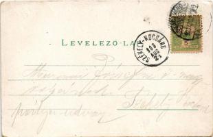 1903 Szászváros, Broos, Orastie; Marktgasse. H. Graef / Piac utca / street (EK)