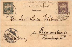 1901 Erdőd, Erdut; Rusevina u Erdutu / Ruine in Erdőd / várrom. Eugen Selzer kiadása / castle ruins