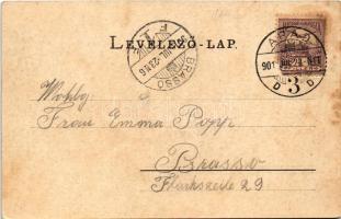 1901 Arad, Városház tér / town hall (EK)