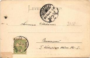 1902 Gyulafehérvár, Karlsburg, Alba Iulia; Alsó Károly kapu. Petri F. Vilmos kiadása / castle gate (...