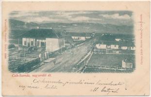 1900 Csíkszereda, Miercurea Ciuc; Nagyerdői út, Wlaszlowits Gusztáv, György Jakab Márton kiadása / street view (Rb)