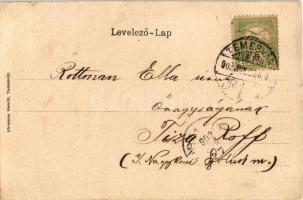 1902 Temesvár, Timisoara; Gyárváros, Andrássy út. Montázs a Délmagyarországi Közlöny politikai, társ...