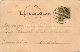 1904 Temesvár, Timisoara; Jenő herceg utca, fürdő, sebészeti műszerek üzlete, optikus. Raschka kiadá...